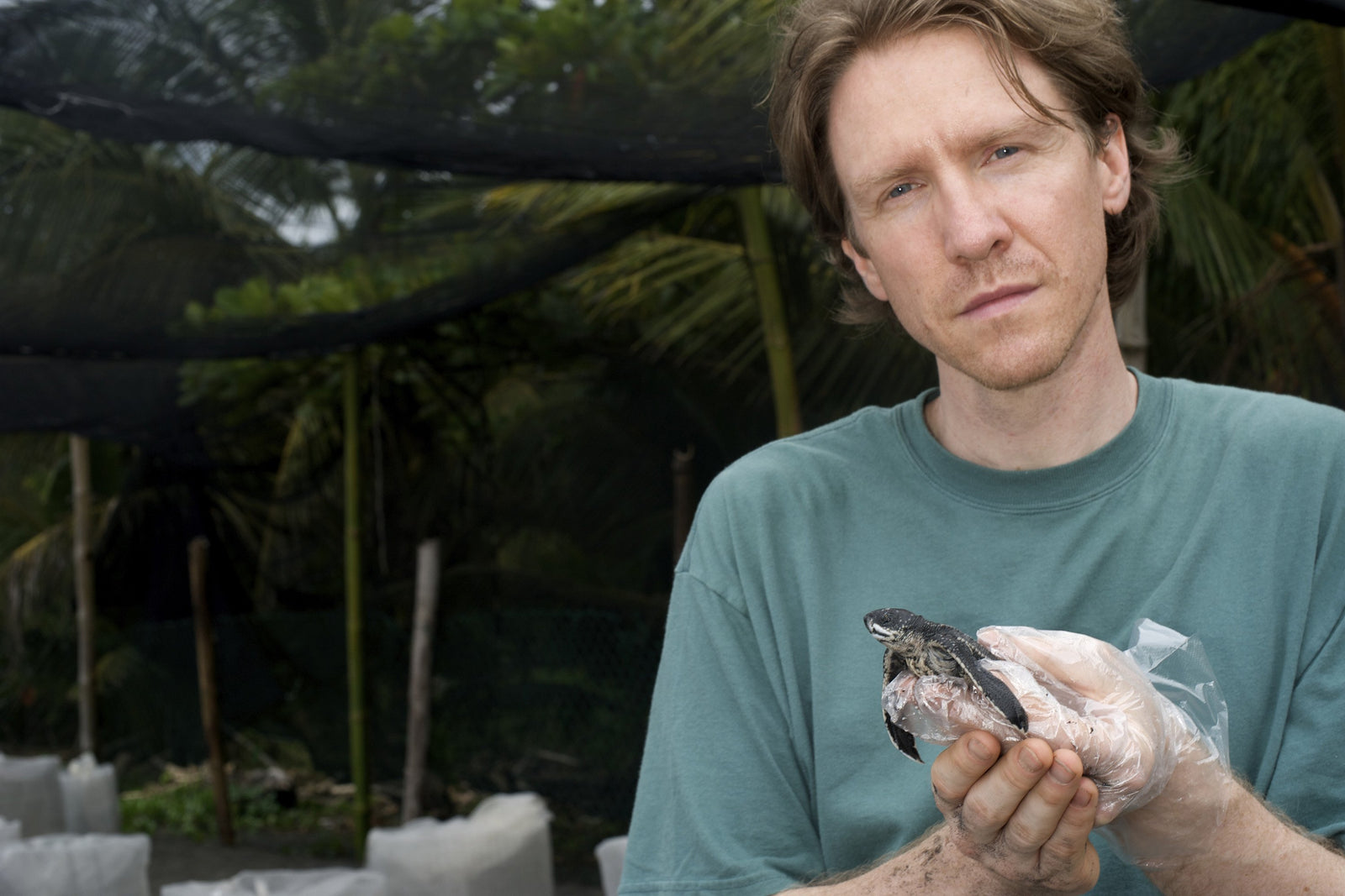 SEE Turtles Get A Boost From Pacsafe