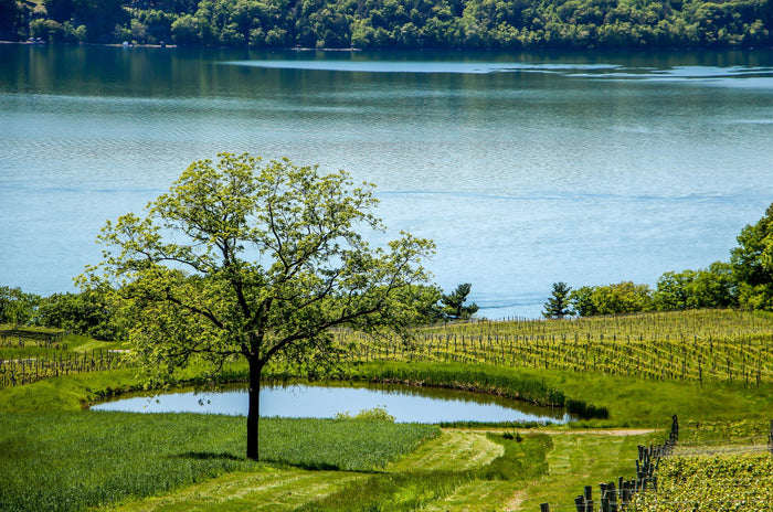 4 Favorite Labor Day Getaways