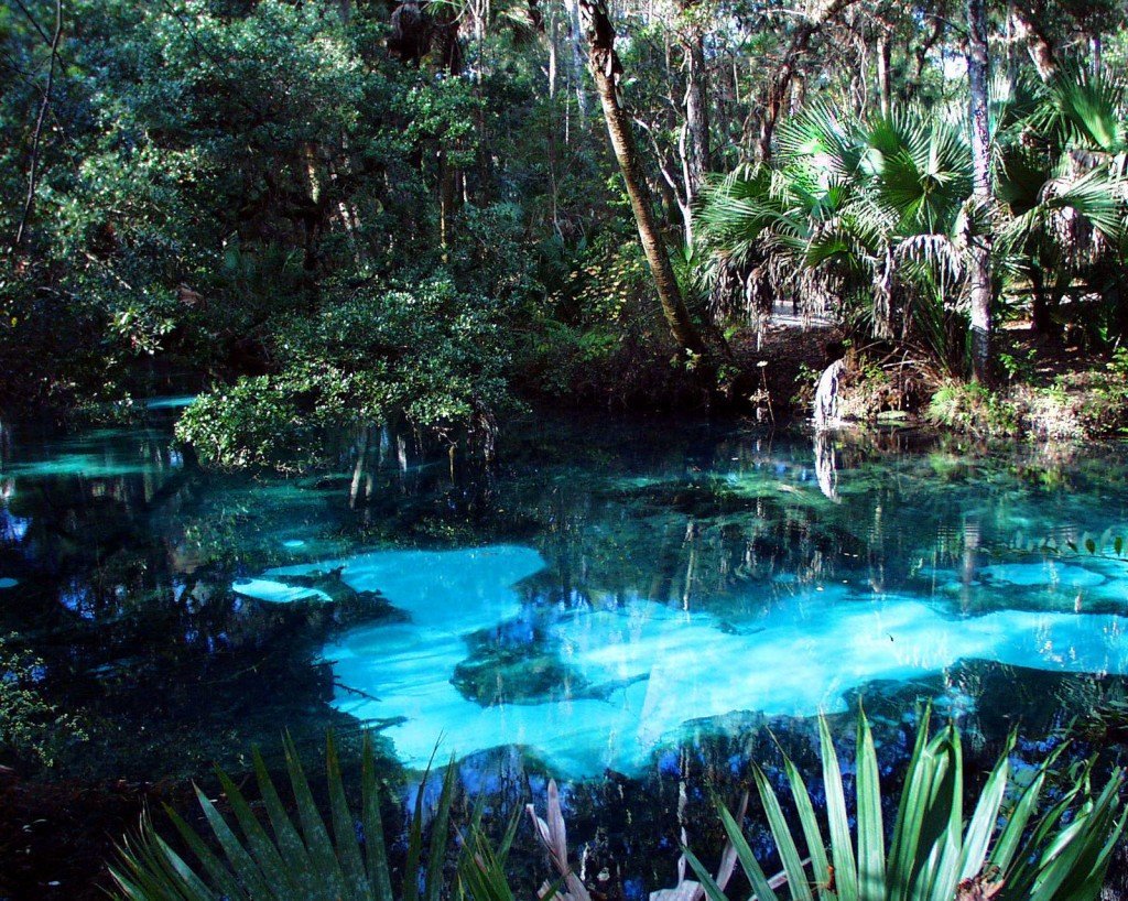 Dive into Florida: 7 Breathtaking Freshwater Springs