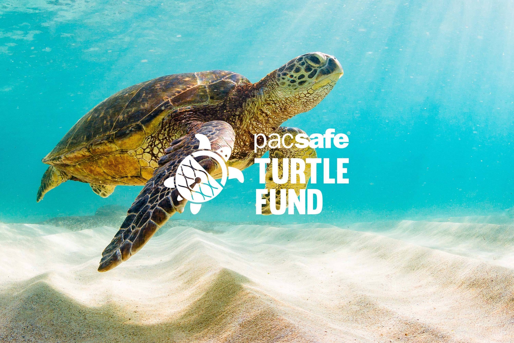 Pacsafe Turtle Fund Update 2018